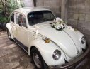 Volkswagen Beetle   1975 - Cần bán Volkswagen Beetle 1975, màu trắng, xe nhập, giá 250tr