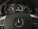 Mercedes-Benz E400 2013 - Xe E400 SX 2013, ĐK T4/2014 cần bán