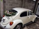 Volkswagen Beetle   1975 - Cần bán Volkswagen Beetle 1975, màu trắng, xe nhập, giá 250tr