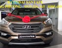 Hyundai Santa Fe 2017 - Bán xe Hyundai Santa Fe sản xuất 2017, màu nâu, nhập khẩu nguyên chiếc