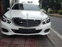 Mercedes-Benz E200 2015 - Bán Mercedes đời 2015, màu trắng chính chủ