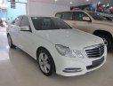 Mercedes-Benz E250 2013 - Bán Mercedes E250 đời 2013, màu trắng chính chủ