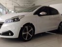 Peugeot 208 2015 - Bán ô tô Peugeot 208 đời 2015, màu trắng, xe nhập, 865tr