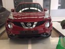 Nissan Juke  1.6L CVT 2017 - Bán ô tô Nissan Juke AT đời 2017, màu đỏ