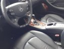 Mercedes-Benz CLK class 350 2007 - Bán Mercedes CLK 350 đời 2007, màu đen, xe nhập, giá chỉ 780 triệu