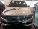 Mercedes-Benz C250 2016 - Cần bán lại xe Mercedes C250 đời 2016, màu bạc