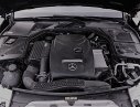 Mercedes-Benz C250  Exclusive 2016 - Bán xe Mercedes C250 Exclusive đời 2016, màu đen