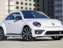 Volkswagen Beetle Dune 2017 - Xe con bọ Beetle Dune 2017 Volkswagen - Số lượng giới hạn toàn quốc