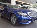 Mercedes-Benz C250 C250 Exclusive 2017 - Cần bán Mercedes C250 Exclusive năm 2017, màu xanh lam