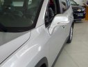 Chevrolet Orlando LTZ 2017 - Bán ô tô Chevrolet Orlando đời 2017, hỗ trợ vay ngân hàng 80%, gọi Ms. Lam 0939193718