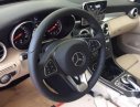 Mercedes-Benz C200 2017 - Cần bán Mercedes đời 2017, xe đẹp sang trọng 