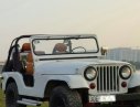 Jeep Wrangler   MT  1975 - Bán Jeep Wrangler MT đời 1975, giá chỉ 145 triệu