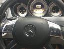Mercedes-Benz C250  1.8AT  2012 - Bán xe Mercedes C250 1.8AT đời 2012, màu đen chính chủ
