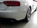 Audi A5 Quattro 4x4 2009 - Cần bán Audi A5 Quattro 4x4 đời 2009, màu trắng, nhập khẩu số tự động