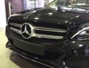 Mercedes-Benz C200 2017 - Bán xe Mercedes đời 2017, màu đen