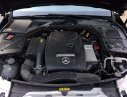 Mercedes-Benz C250  Exclusive 2016 - Bán xe Mercedes C250 Exclusive năm 2016, màu đen, xe nhập