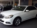 Mercedes-Benz E200   2017 - Bán ô tô Mercedes E200 sản xuất 2017, màu trắng