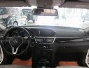 Mercedes-Benz E250 2013 - Cần bán xe Mercedes E250 đời 2013, màu trắng chính chủ