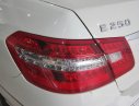 Mercedes-Benz E250 2013 - Cần bán xe Mercedes E250 đời 2013, màu trắng chính chủ