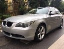 BMW 5 Series 520i 2004 - Bán BMW 5 Series 520i đời 2004, màu bạc, nhập khẩu