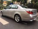 BMW 5 Series 520i 2004 - Bán BMW 5 Series 520i đời 2004, màu bạc, nhập khẩu