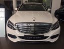 Mercedes-Benz C250 Exclusive 2017 - Bán xe C250 nhiều ưu đãi đặc biệt cực khủng