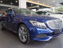 Mercedes-Benz C250 2017 - Bán Mercedes C250 sản xuất 2017, màu xanh lam