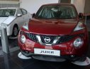 Nissan Juke 1.6L 2017 - Bán Nissan Juke, hỗ trợ sốc, trả góp 80% giá trị xe. Hotline 0975884809