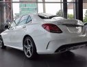 Mercedes-Benz C300 2017 - Bán Mercedes C300 sản xuất 2017, màu trắng