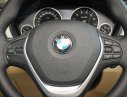 BMW 3 Series 320i 2017 - Bán BMW 320i 2017, màu đỏ, nhập khẩu, giá rẻ nhất, có xe giao ngay, hỗ trợ mua trả góp