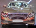 Mercedes-Benz E200 2017 - Bán xe Mercedes E200 đời 2017, màu nâu