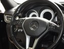 Mercedes-Benz E250  AMG 2015 - Bán Mercedes AMG 2015, màu đen