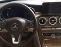 Mercedes-Benz C250 2015 - Bán xe Mercedes C250 đời 2015, màu đen