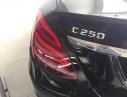 Mercedes-Benz C250 2015 - Bán xe Mercedes C250 đời 2015, màu đen 