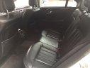Mercedes-Benz E250 2013 - Bán Mercedes E250 2013 màu trắng, nội thất đen