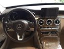 Mercedes-Benz C250 2015 - Bán xe Mercedes C250 đời 2015, màu đen 