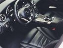 Mercedes-Benz C300 2016 - Bán Mercedes C300 đời 2016, màu trắng