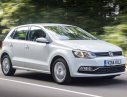 Volkswagen Polo 2016 - Bán xe Volkswagen Polo đời 2016, màu bạc, nhập khẩu nguyên chiếc