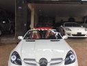 Mercedes-Benz SLK class SLK 280 2006 - Bán gấp Mercedes SLK 280 đời 2006, màu trắng, xe nhập, giá chỉ 700 triệu