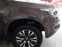 Chevrolet Colorado  2.8AT 4x4 2017 - Chevrolet Colorado 2017, hỗ trợ vay ngân hàng 90%, gọi Ms. Lam 0939193718