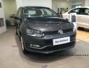 Volkswagen Polo 2017 - Polo Hatchback xe thương hiệu Đức nhập khẩu - LH Quang Long 0933689294