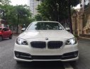 BMW 1 2014 - Việt Nhật Auto bán xe BMW 520i model 2015, màu Trắng nội thất kem.