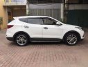 Hyundai Santa Fe 4WD 2016 - Bán xe Hyundai Santa Fe 4WD đời 2016, màu trắng