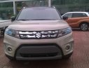 Suzuki Vitara 2017 - Đại lý ô tô Hải Phòng bán xe Suzuki Vitara 2017 01232631985