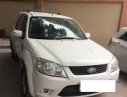 Ford Escape 2010 - Cần bán Ford Escape đời 2010, màu trắng, giá cạnh tranh