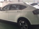 Luxgen U6 2015 - Cần bán lại xe Luxgen U6 sản xuất 2015, màu trắng, nhập khẩu