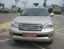 Lexus GX 460 2010 - Bán Lexus GX 460 đời 2010, màu vàng, nhập khẩu