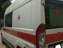 Hãng khác Xe du lịch 2008 - Cần bán xe cứu thương Fiat Ducato đời 2008, màu trắng, xe nhập, giá chỉ 230 triệu