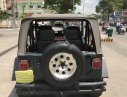 Jeep Wrangler MT 1995 - Cần bán lại xe Jeep Wrangler đời 1995, màu xanh lam, nhập khẩu số sàn