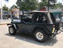 Jeep Wrangler MT 1995 - Cần bán lại xe Jeep Wrangler đời 1995, màu xanh lam, nhập khẩu số sàn